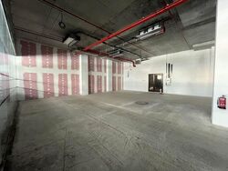 The M (D7), Retail #464483721